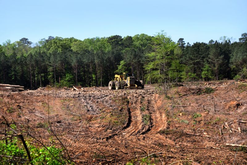 Bulldozer Clearing in Marietta, GA