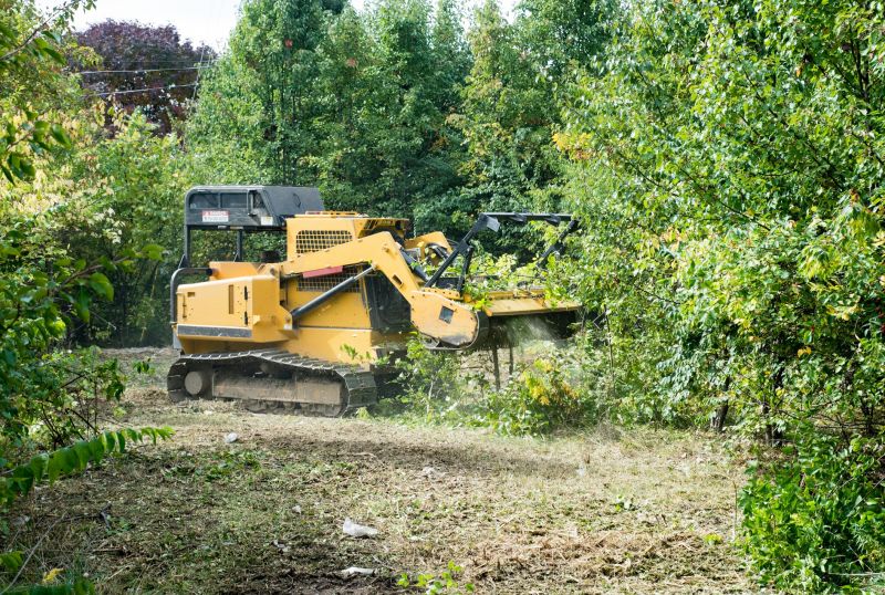 Hill Clearing in Salt Lake City, UT
