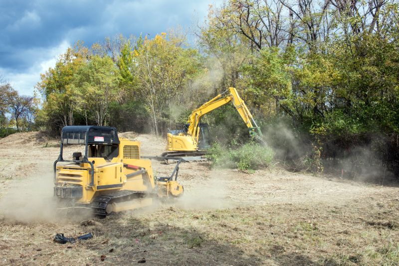 Slope Clearing in Houston, TX